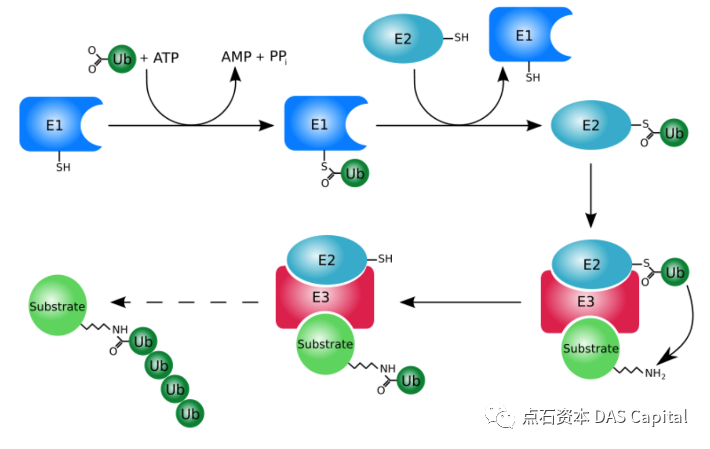 欧博体育_欧博平台_欧博官网登录-欧博APP