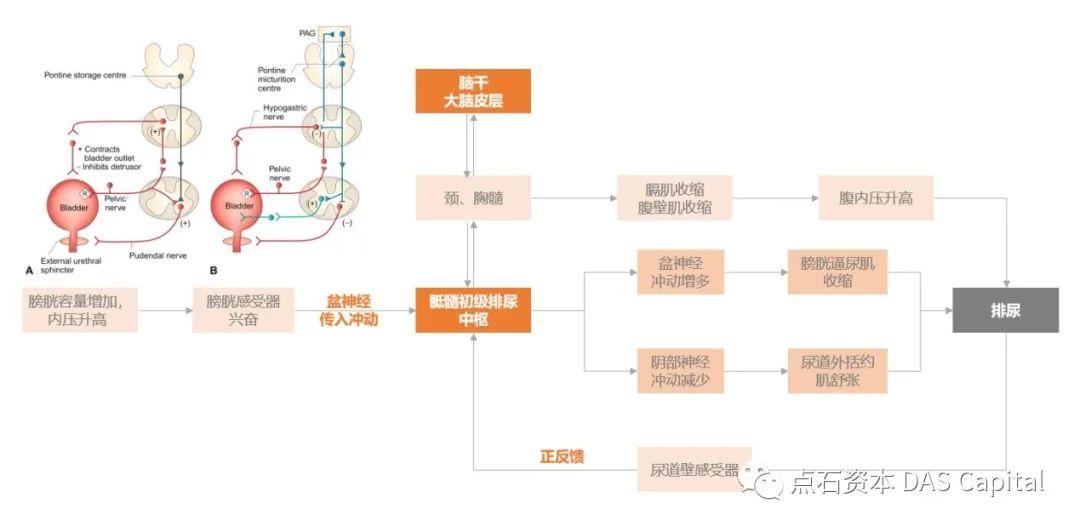 欧博体育_欧博平台_欧博官网登录-欧博APP