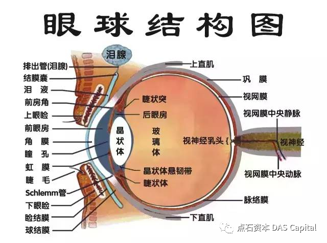 欧博体育_欧博平台_欧博官网登录-欧博APP